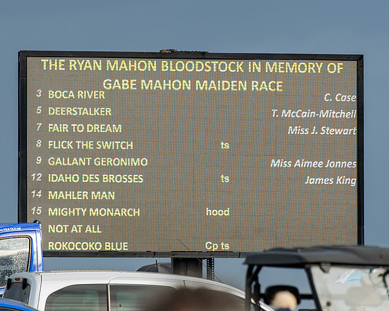 Race 7 - Maiden (1 of 136)