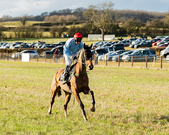 Race 7 - Maiden (4 of 136)