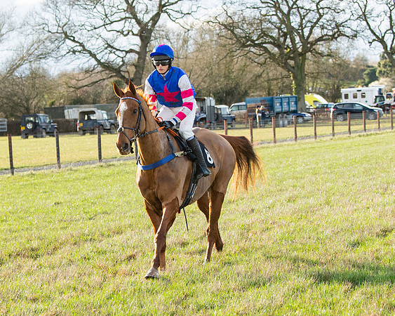 Race 7 - Maiden (3 of 136)