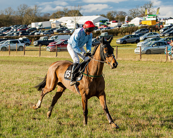 Race 7 - Maiden (7 of 136)