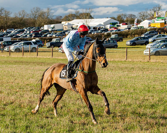 Race 7 - Maiden (6 of 136)