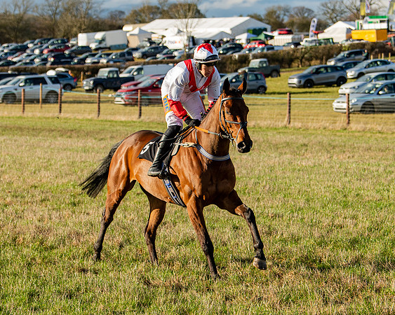 Race 7 - Maiden (8 of 136)