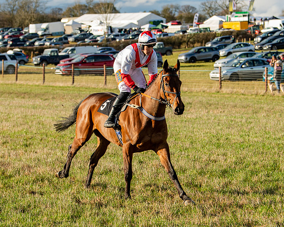 Race 7 - Maiden (9 of 136)