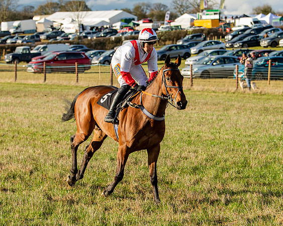 Race 7 - Maiden (10 of 136)