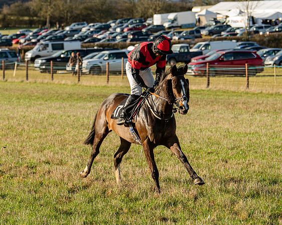 Race 7 - Maiden (14 of 136)