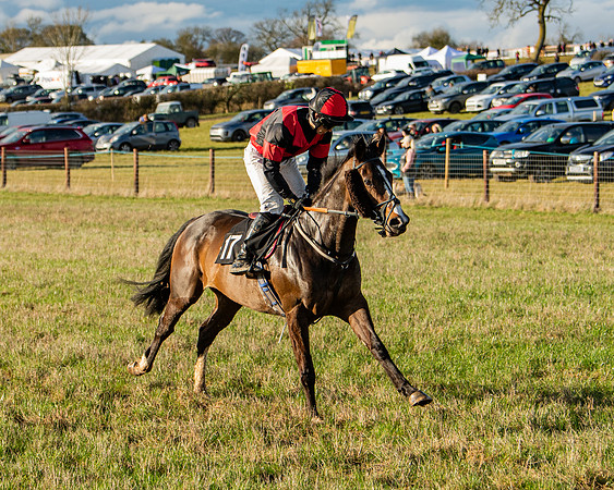Race 7 - Maiden (15 of 136)