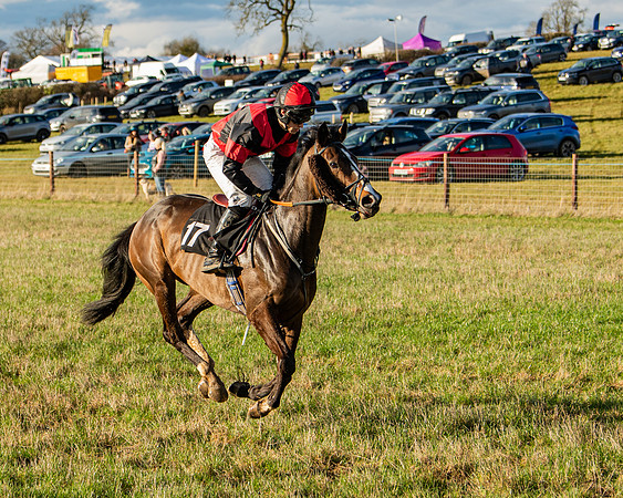 Race 7 - Maiden (16 of 136)