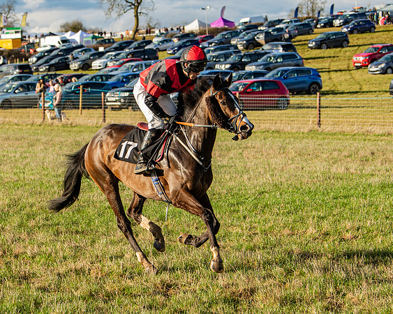 Race 7 - Maiden (17 of 136)
