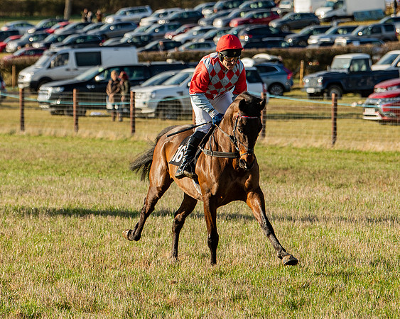 Race 7 - Maiden (18 of 136)