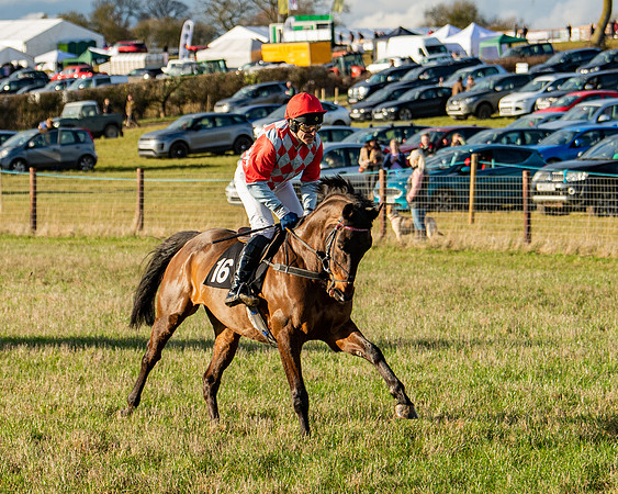 Race 7 - Maiden (19 of 136)