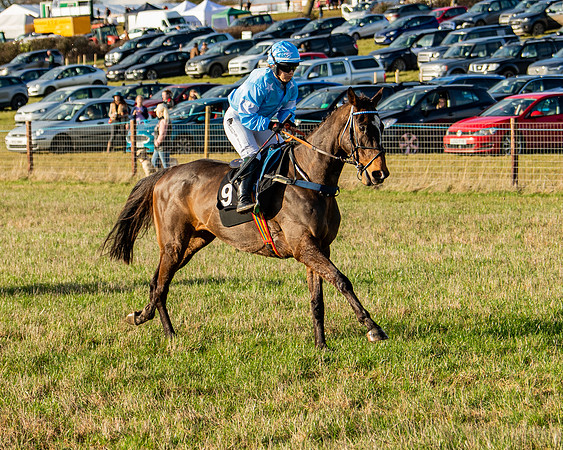 Race 7 - Maiden (21 of 136)