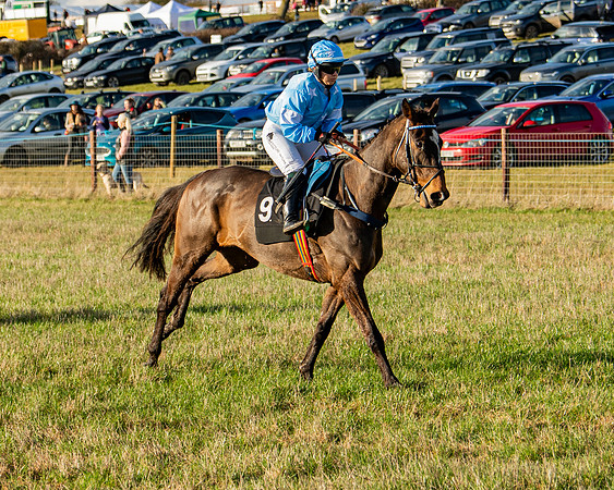 Race 7 - Maiden (22 of 136)