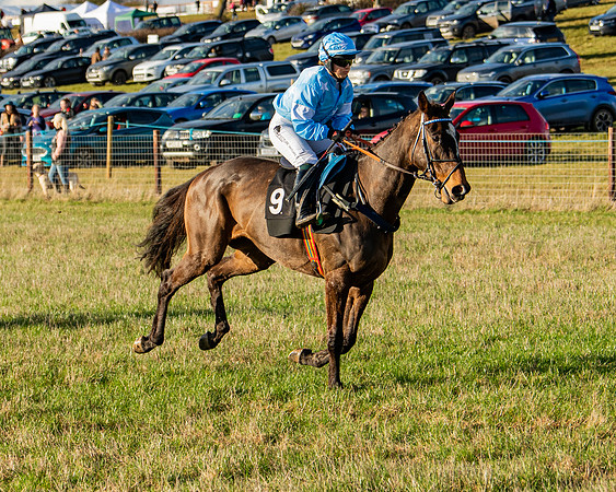 Race 7 - Maiden (23 of 136)