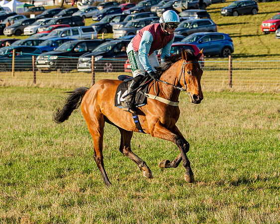 Race 7 - Maiden (24 of 136)