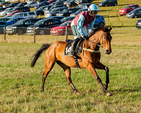 Race 7 - Maiden (25 of 136)