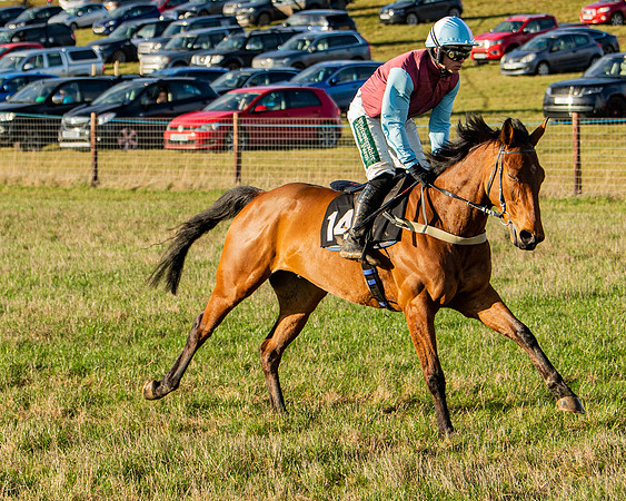 Race 7 - Maiden (26 of 136)