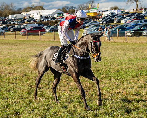 Race 7 - Maiden (28 of 136)