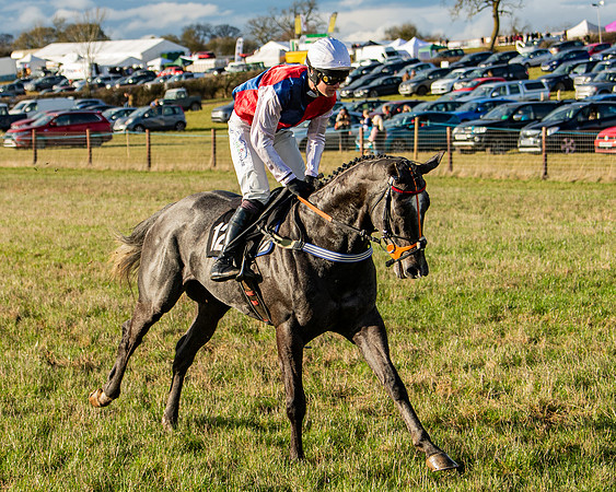Race 7 - Maiden (29 of 136)