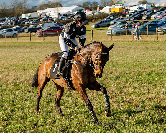 Race 7 - Maiden (31 of 136)