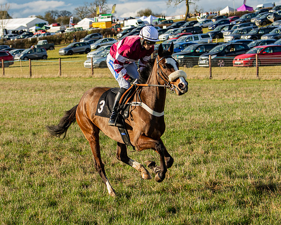 Race 7 - Maiden (33 of 136)