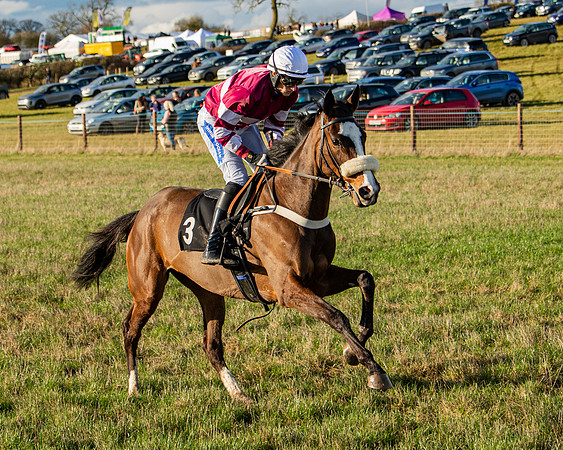 Race 7 - Maiden (34 of 136)