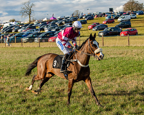 Race 7 - Maiden (36 of 136)