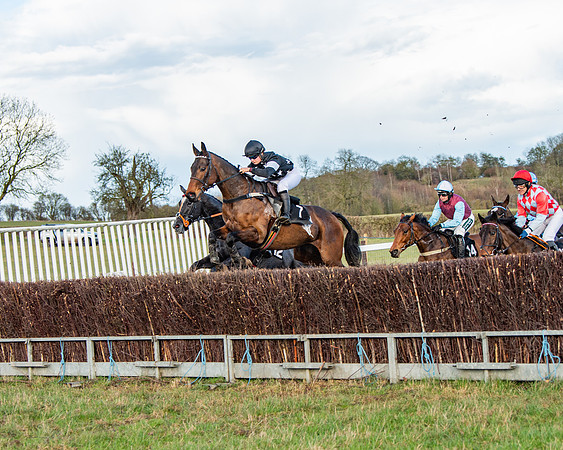 Race 7 - Maiden (41 of 136)
