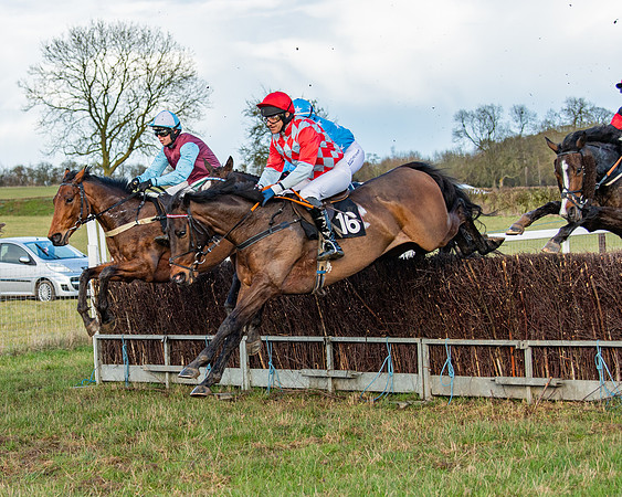 Race 7 - Maiden (49 of 136)