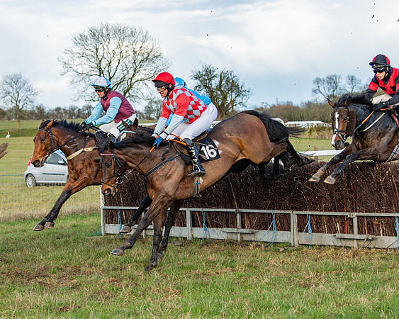 Race 7 - Maiden (50 of 136)