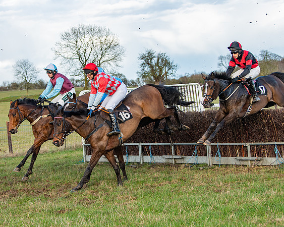 Race 7 - Maiden (51 of 136)