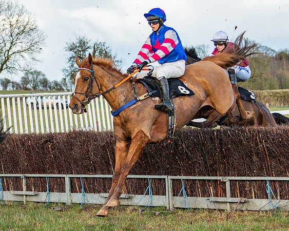 Race 7 - Maiden (58 of 136)