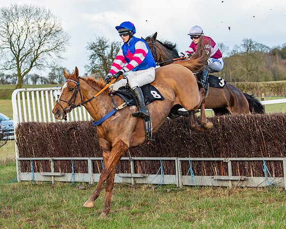 Race 7 - Maiden (59 of 136)