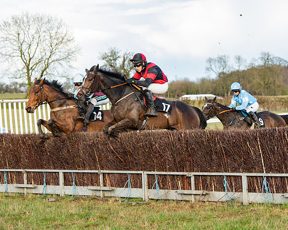 Race 7 - Maiden (72 of 136)