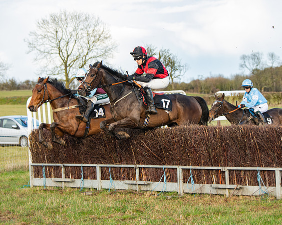 Race 7 - Maiden (73 of 136)