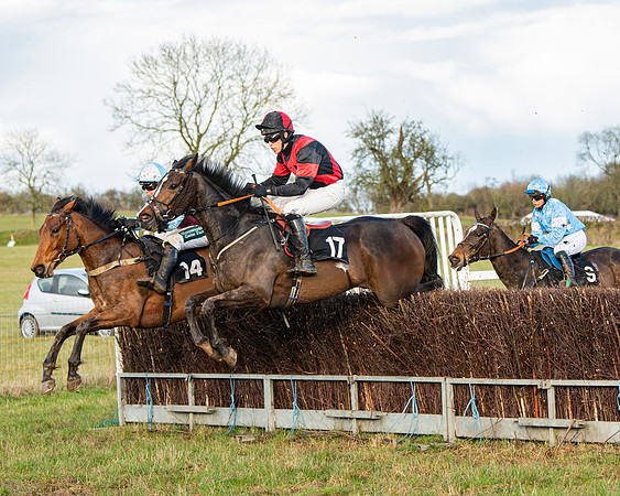 Race 7 - Maiden (74 of 136)