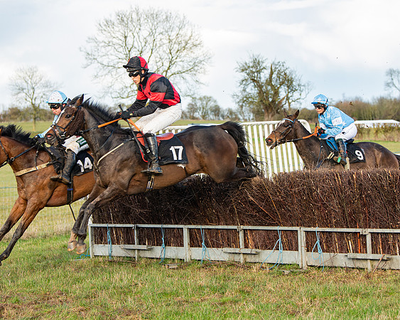 Race 7 - Maiden (75 of 136)