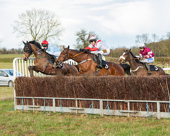 Race 7 - Maiden (78 of 136)
