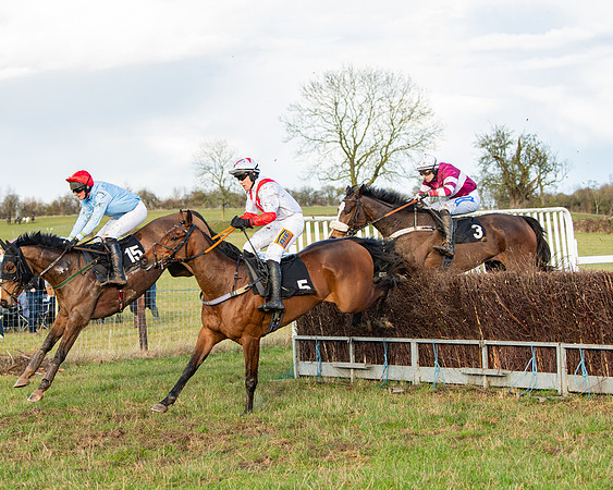Race 7 - Maiden (83 of 136)