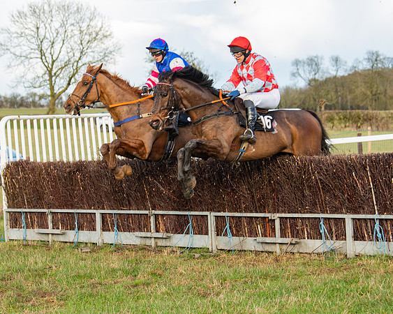 Race 7 - Maiden (85 of 136)