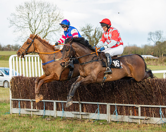 Race 7 - Maiden (86 of 136)