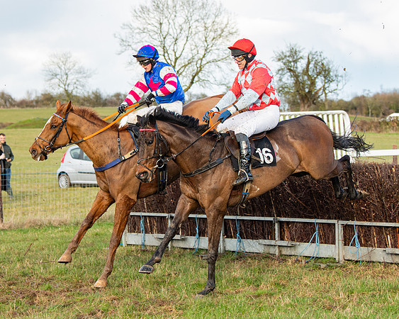 Race 7 - Maiden (88 of 136)