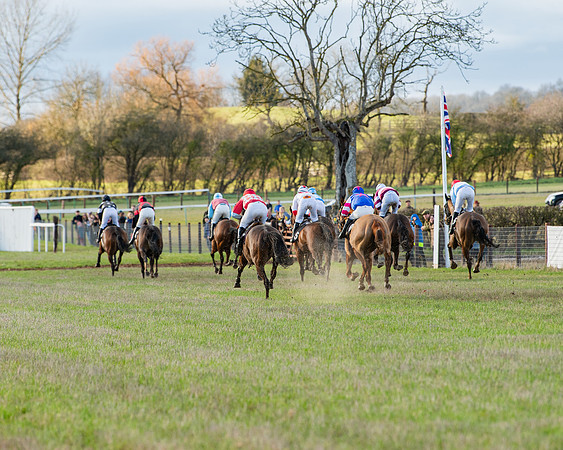 Race 7 - Maiden (91 of 136)