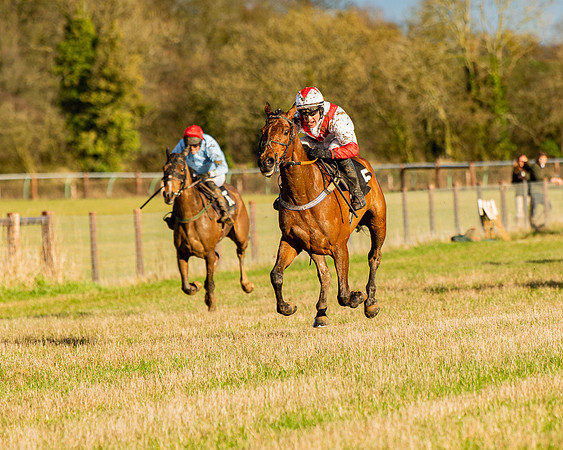 Race 7 - Maiden (95 of 136)