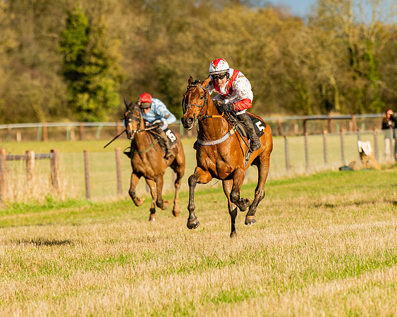 Race 7 - Maiden (96 of 136)