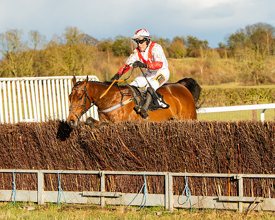 Race 7 - Maiden (97 of 136)