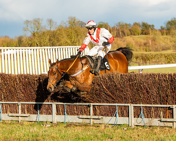 Race 7 - Maiden (98 of 136)