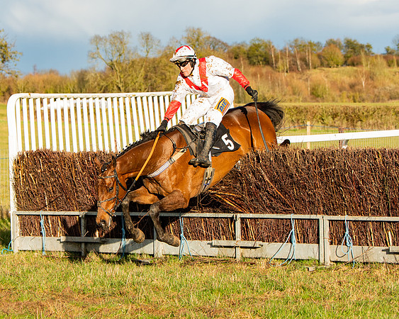 Race 7 - Maiden (99 of 136)