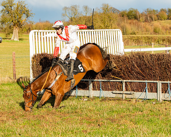 Race 7 - Maiden (100 of 136)