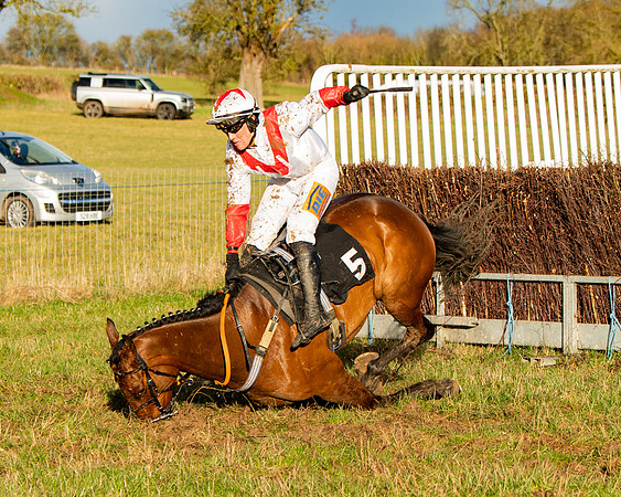 Race 7 - Maiden (101 of 136)