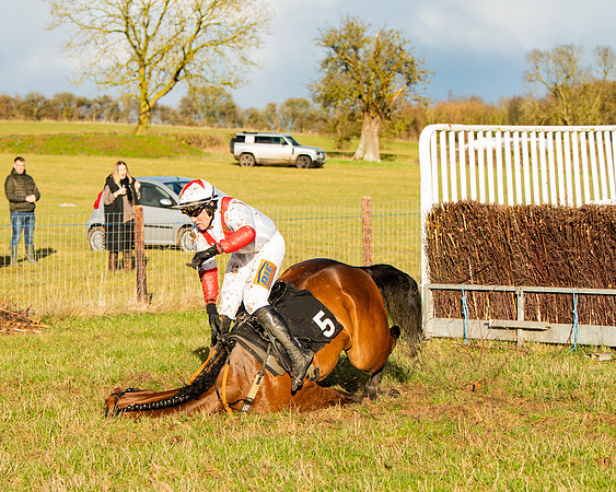 Race 7 - Maiden (102 of 136)